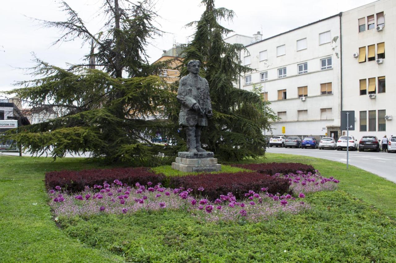 Nicola'S Lägenhet Novi Sad Exteriör bild